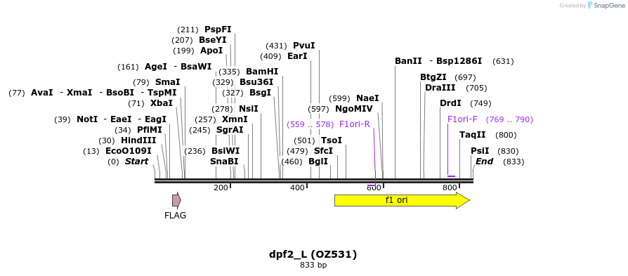33604_map