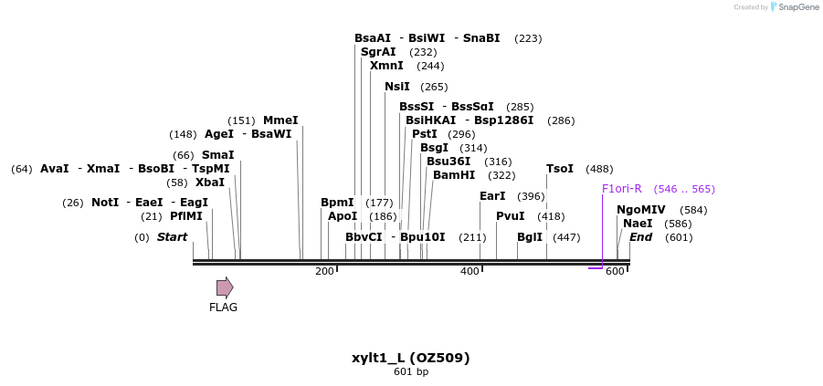 33605_map