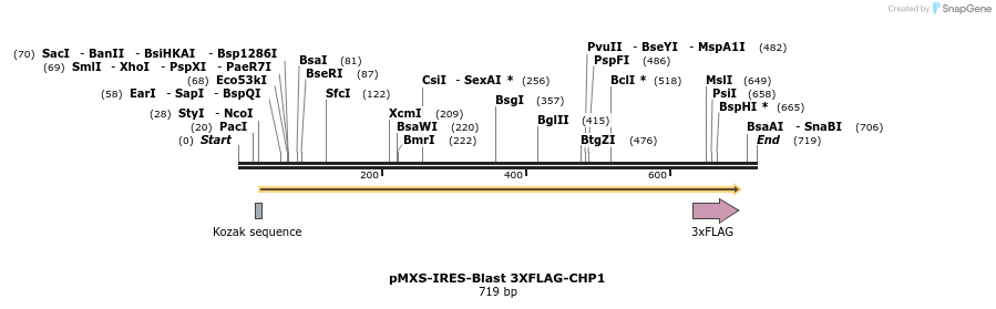 336065_map