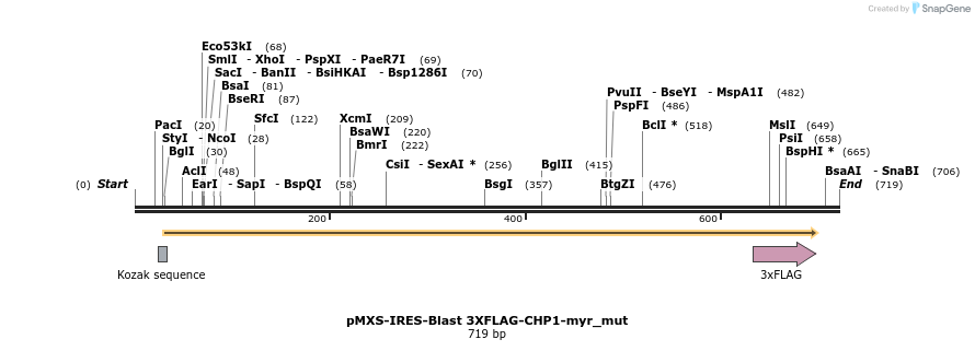 336066_map
