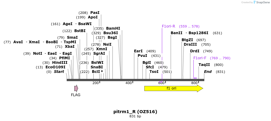 33607_map