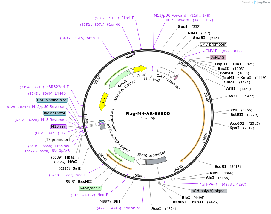 336097_map
