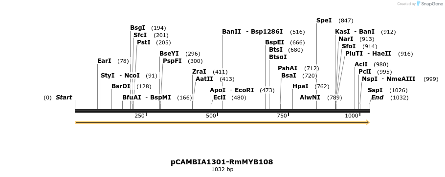 336102_map