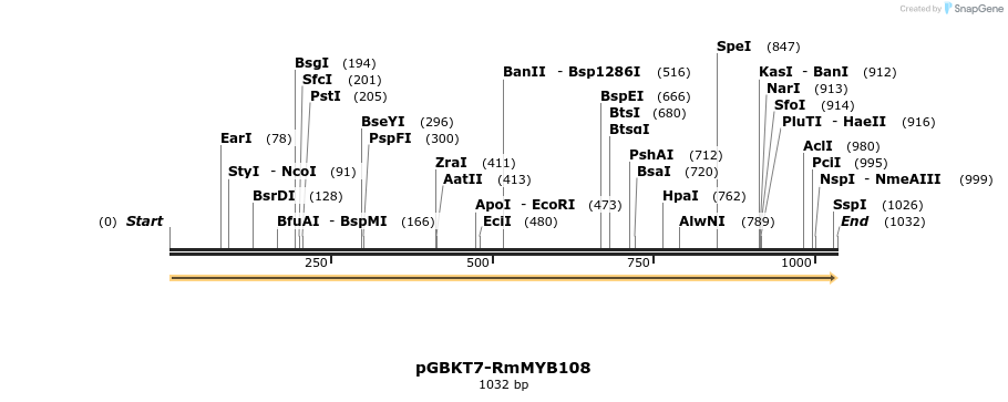 336106_map