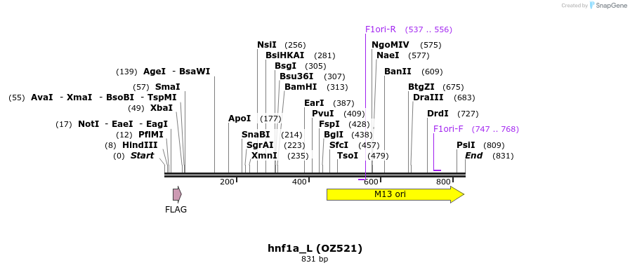 33613_map