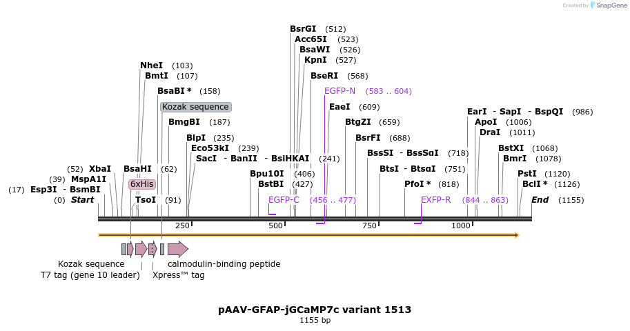336153_map