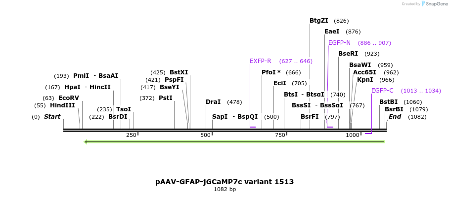 336154_map