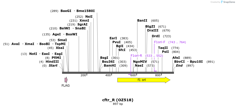 33616_map