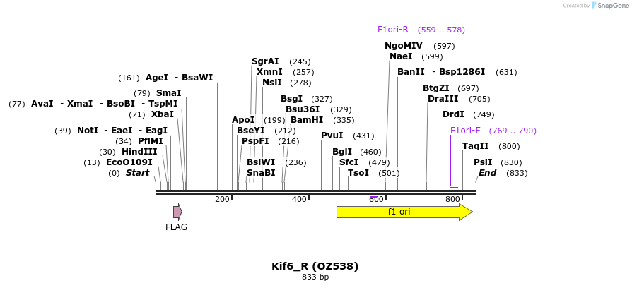 33618_map