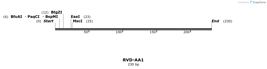 336191_map