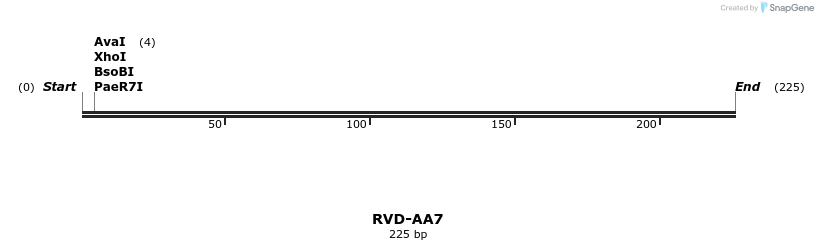 336197_map