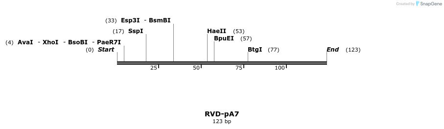 336201_map