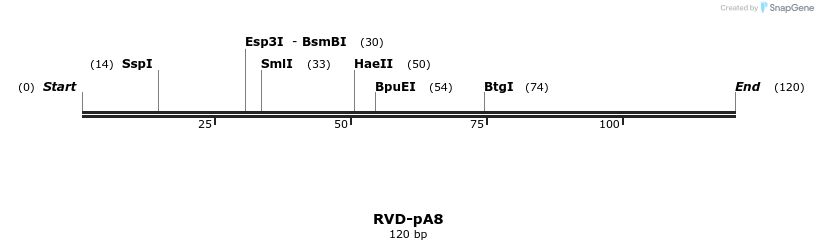 336202_map