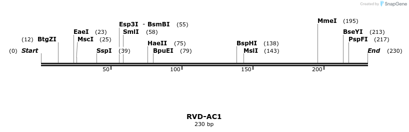 336203_map