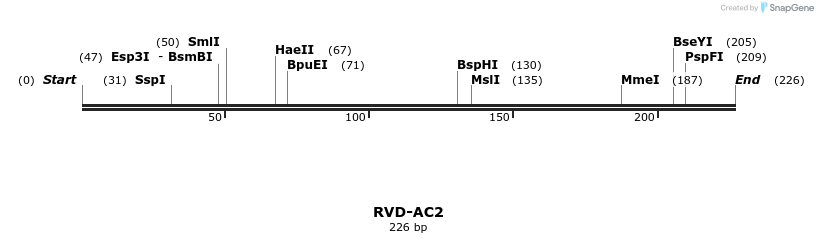 336204_map