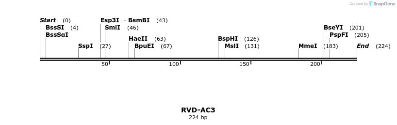 336205_map