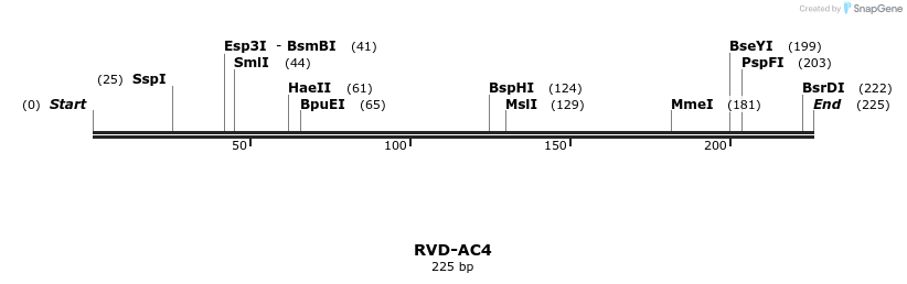336206_map