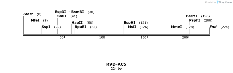 336207_map