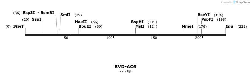 336208_map