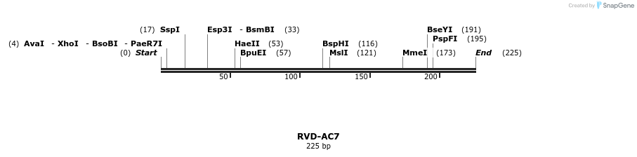336209_map