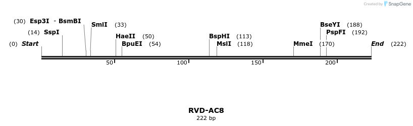 336210_map