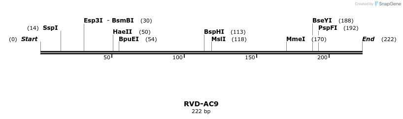 336211_map