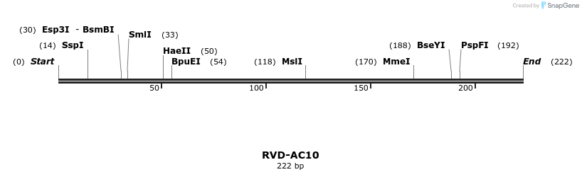 336212_map