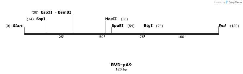 336213_map