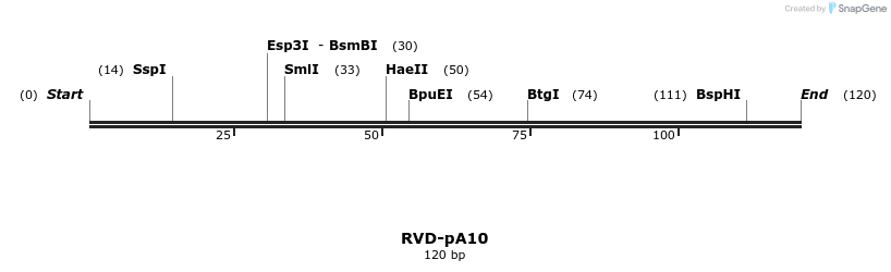 336214_map