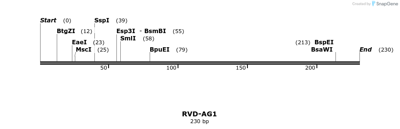 336215_map