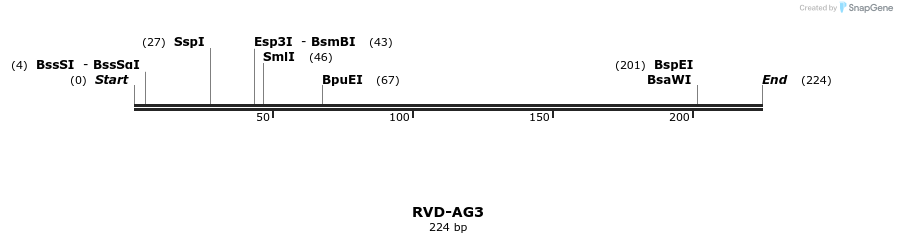 336217_map