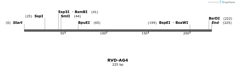 336218_map