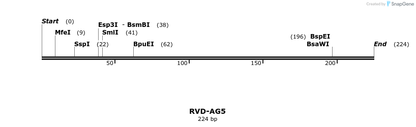 336219_map