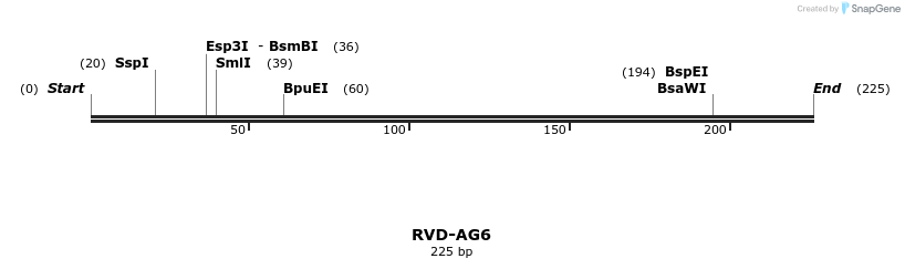 336220_map