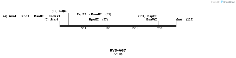 336221_map