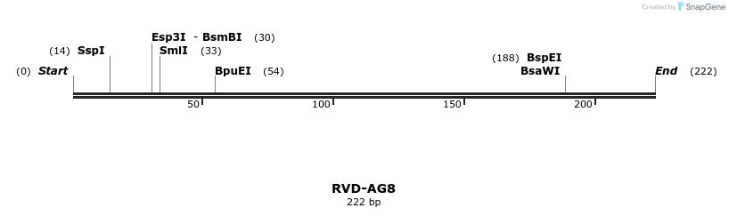 336222_map