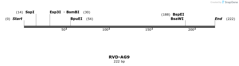 336223_map