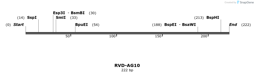 336224_map