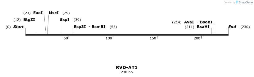 336227_map