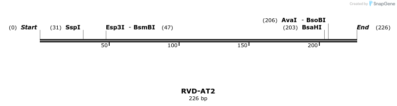 336228_map