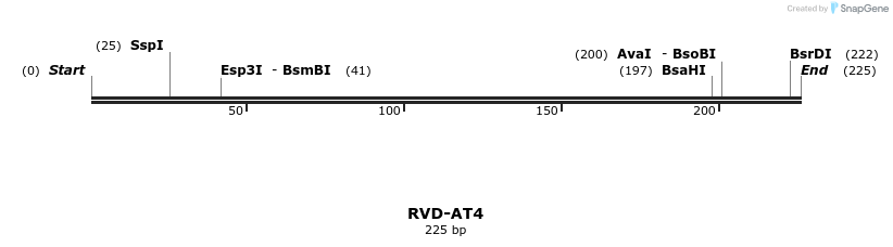 336230_map