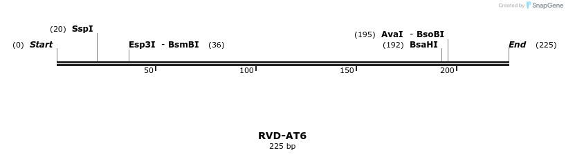 336232_map