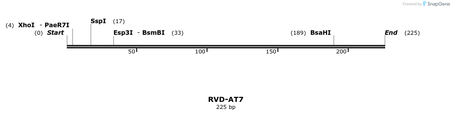 336233_map