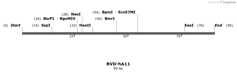 336238_map