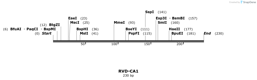 336239_map