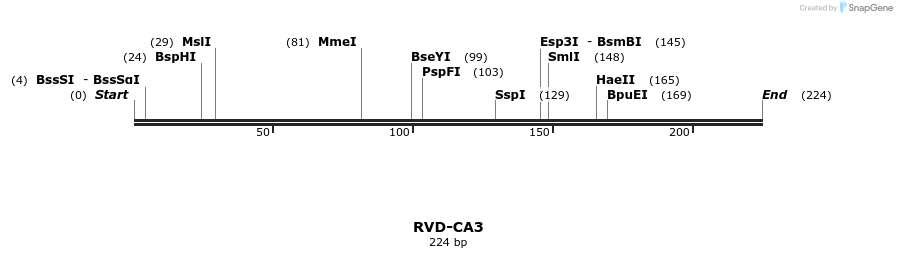 336241_map
