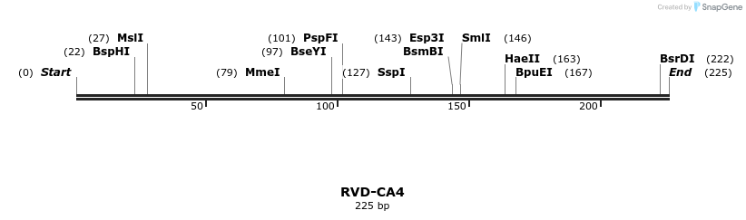 336242_map