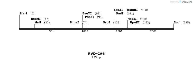 336244_map