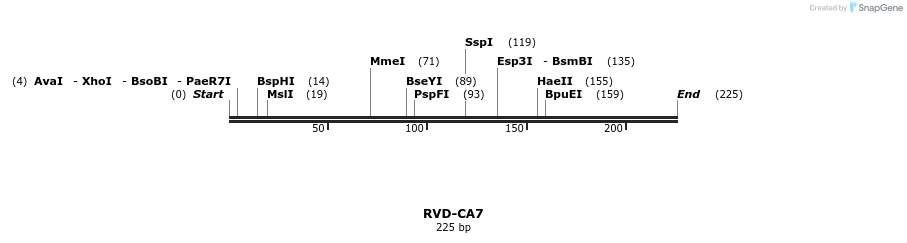 336245_map