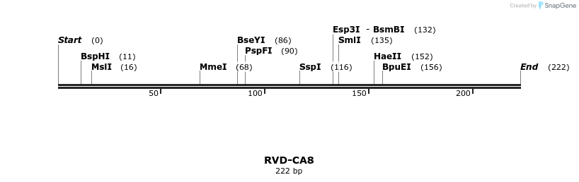 336246_map